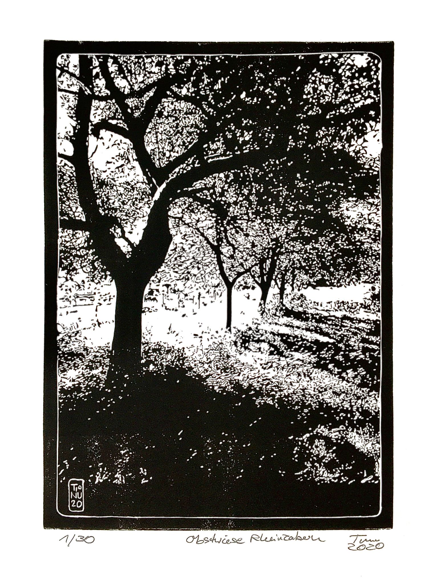 Obstwiese Rheinzabern